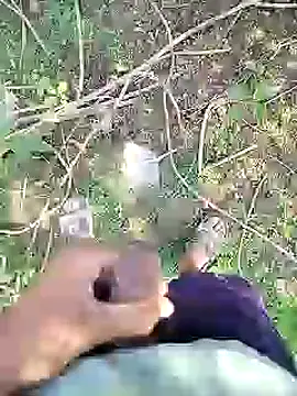 88karan88 online show from 22, 1, 2025