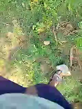 88karan88 online show from 23, 1, 2025