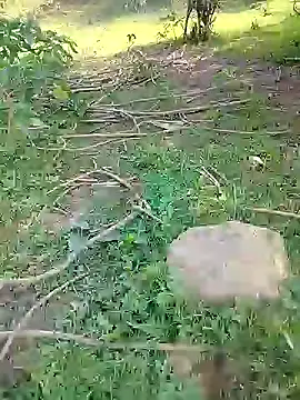 88karan88 online show from 24, 2, 2025