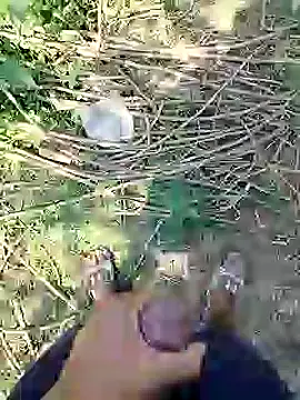 88karan88 online show from 25, 2, 2025