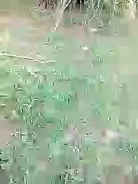 88karan88 online show from 26, 2, 2025