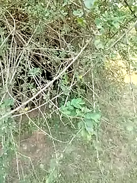 88karan88 online show from 1, 3, 2025