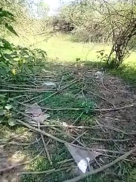 88karan88 online show from 3, 3, 2025