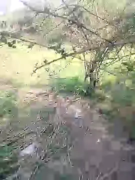 88karan88 online show from 4, 3, 2025