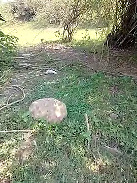 88karan88 online show from 5, 3, 2025