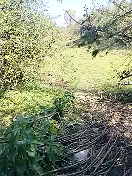 88karan88 online show from 7, 3, 2025