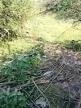 88karan88 online show from 11, 3, 2025