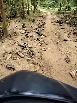 88karan88 online show from 29, 10, 2025