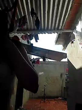 room 24funn online show from 23, 1, 2025