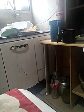 bibifonsecah online show from 11, 2, 2026