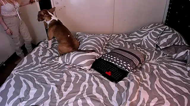 valerie luxe  online show from 15, 1, 2026