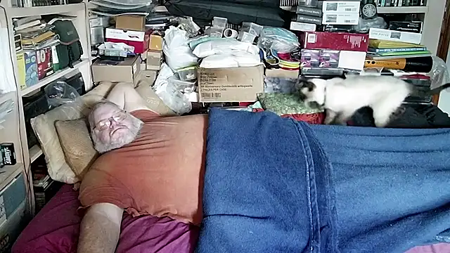 hadeszeuss2 online show from 13, 12, 2024