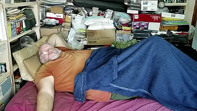 hadeszeuss2 online show from 13, 12, 2024