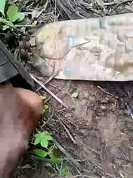 RainedNewyear online show from 5, 12, 2024