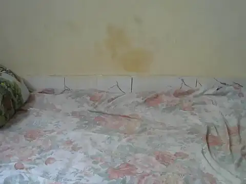 Zenath  online show from 27, 2, 2026