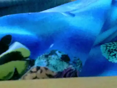 Snapshot of zhan7965 chatting on 30, 12, 2024 zhan7965 online show from 30, 12, 2024