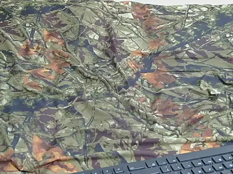 berbie  online show from 2, 10, 2025