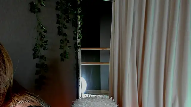 AnnLevine online show from 12, 1, 2025