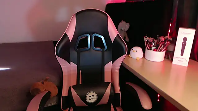 Snapshot of Theprojectsaraa chatting on 4, 2, 2026 Theprojectsaraa online show from 4, 2, 2026