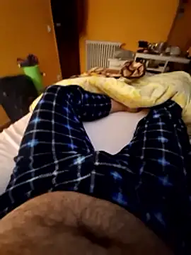 Escondido52 online show from 8, 1, 2026