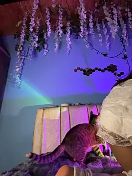 Lily candy X online show from 3, 3, 2026