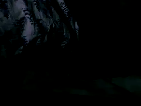 Snapshot of WHITEDAROSE chatting on 19, 2, 2025 WHITEDAROSE online show from 19, 2, 2025