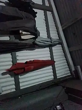 Snapshot of Algenis1232 chatting on 4, 11, 2025 Algenis1232 online show from 4, 11, 2025