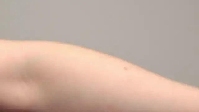 AliceMunro online show from 25, 1, 2025