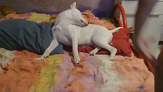 couplemilf2 online show from 6, 12, 2024