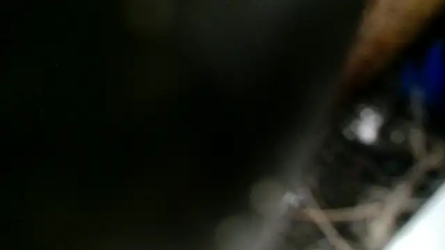 Gigadickman online show from 2, 12, 2024