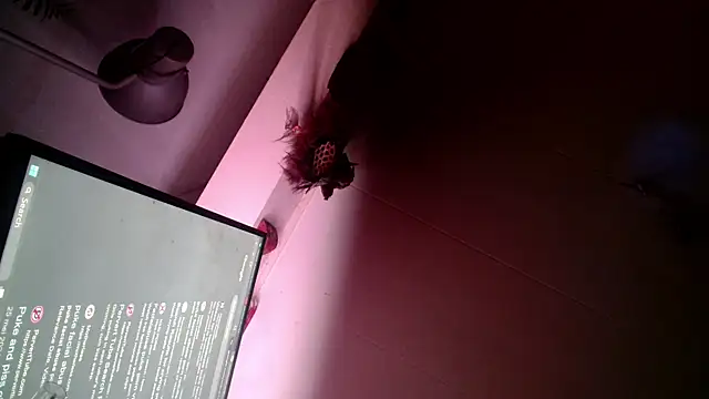 Gigadickman online show from 13, 12, 2024