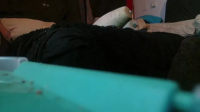 Gigadickman online show from 15, 1, 2025