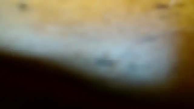 Gigadickman online show from 9, 2, 2025