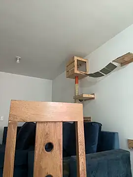 SofiaG  online show from 27, 12, 2024