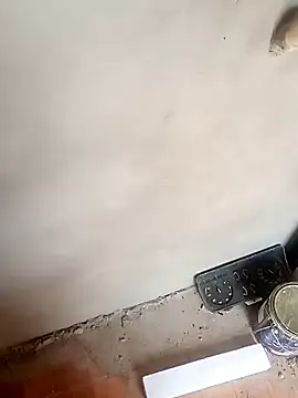 taradobbsafadok online show from 5, 12, 2024