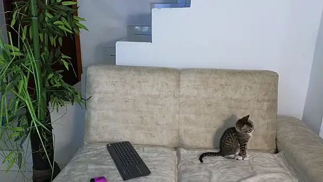 Lorenne Miller online show from 20, 10, 2025