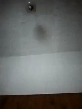 Xtrem3HARDxxx online show from 12, 12, 2024