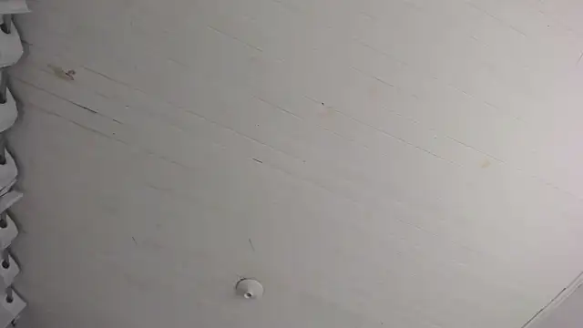 Snapshot of TiffanyWright chatting on 29, 11, 2025 TiffanyWright online show from 29, 11, 2025