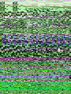 -SHINON- online show from 9, 11, 2025