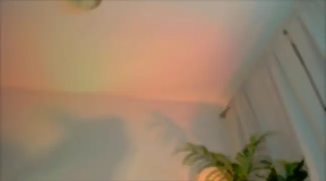 Snapshot of _cherry_bloss_ chatting on 4, 3, 2025 cherry bloss online show from 4, 3, 2025