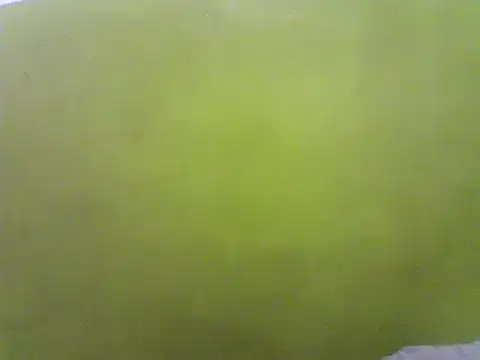 Claris2 online show from 21, 1, 2025