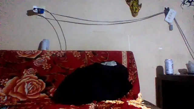 sellvageria online show from 26, 2, 2026