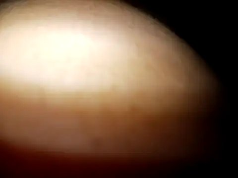 Cheny26 online show from 8, 4, 2026