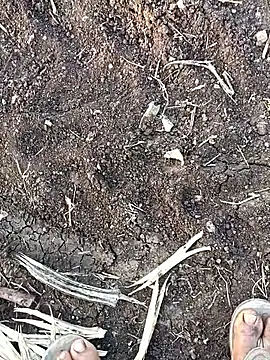 sexy yashu 006 online show from 10, 11, 2025