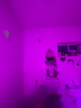 mia foxts online show from 9, 11, 2025