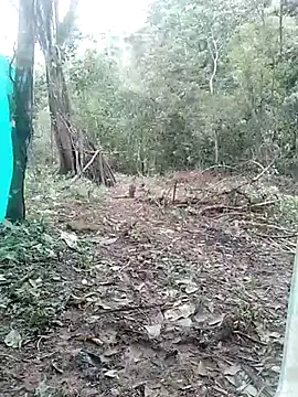 andreu mature online show from 3, 3, 2025