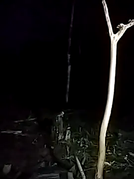 andreu mature online show from 17, 3, 2025