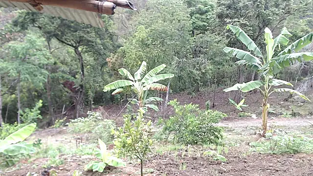 andreu mature online show from 7, 10, 2025