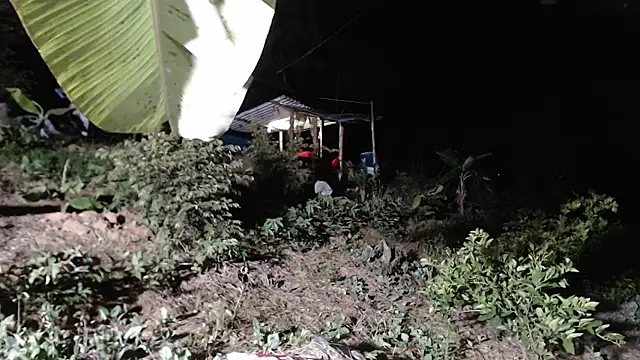 andreu mature online show from 8, 10, 2025