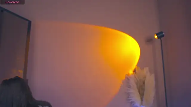 Snapshot of FairyFlutter chatting on 20, 12, 2024 FairyFlutter online show from 20, 12, 2024